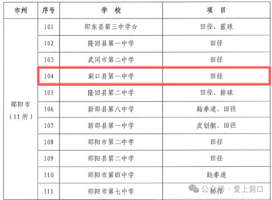 湖南省体育传统特色学校名单，洞口一中入选