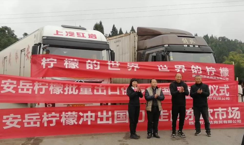 巴适！安岳的柠檬浩浩荡荡的出国啦！安岳老乡转起