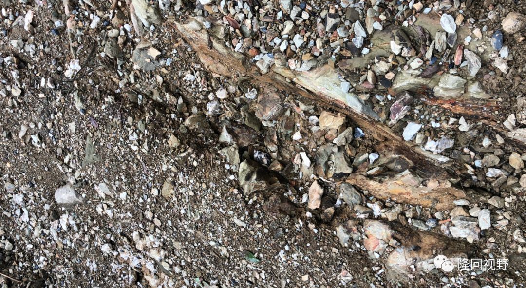 网友投诉隆回县六都寨至西山公路破损严重，你怎么看？