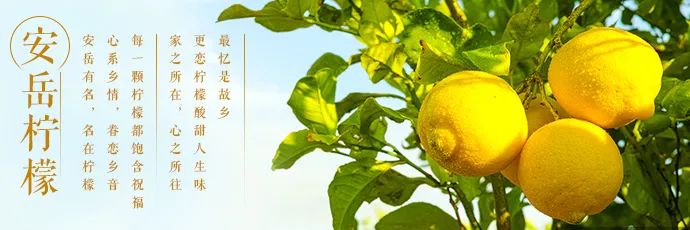 安岳多部门联合倡议：推广公筷公勺制！