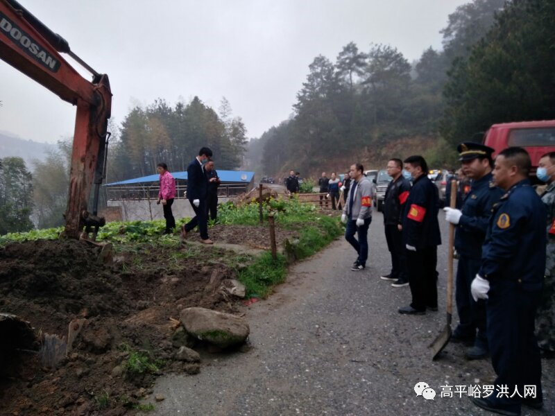 罗洪镇集中开展黄槎公路路肩农作物清理行动