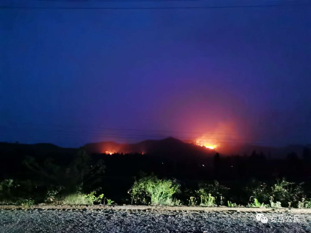 安岳石羊双龙街乡一山坡突发大火，现场火光冲天，十分吓人...