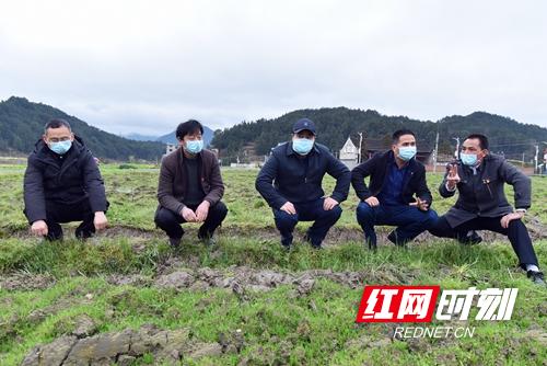 袁隆平超级稻高产攻关每公顷18吨项目在隆回启动