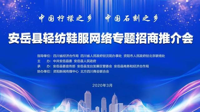 安岳成功举办首次网络招商推介会