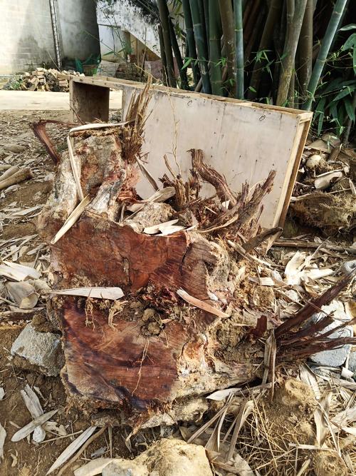 隆回2村民因自留地被挖损 问题，闹上法庭...