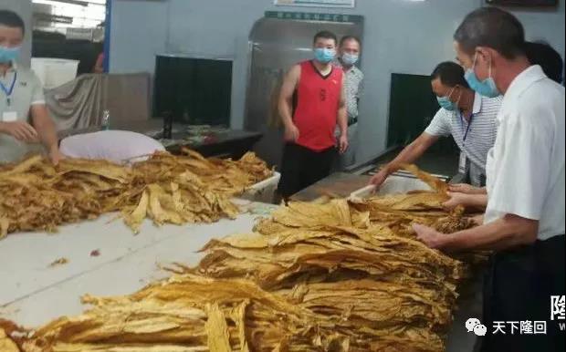 隆回这些产业要发了！投放贷款12亿多元助力发展