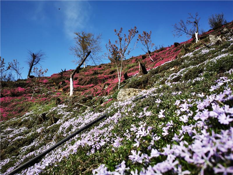 “风花雪月”看隆回，惊险刺激在幽谷