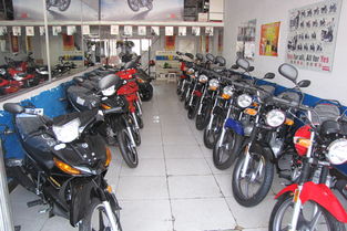 隆回立案查处3家电动摩托车店