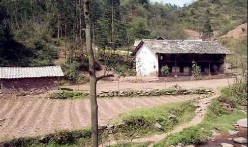 定了！今年起，隆回农村这四种宅基地不能确权！