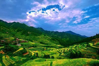 网友投诉隆回有人霸占他人田地，回复来了！