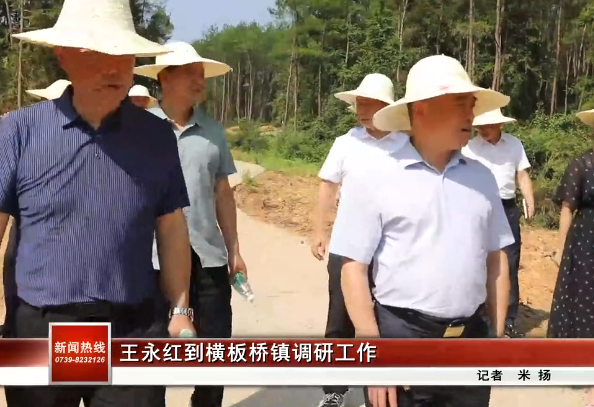 隆回县委书记王永红到六都寨镇调研工作