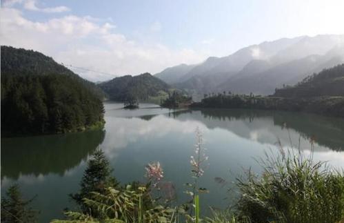 隆回县魏源湿地公园晚上有人私拉绝户网