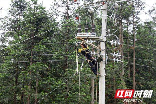 洞口县供电公司开展“党建+安全隐患大排查”集中巡视