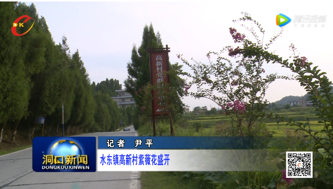 隆回水东镇高新村紫薇花盛开