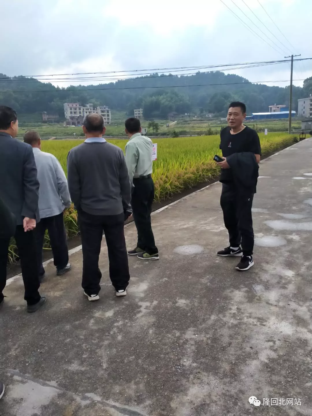 隆回羊古坳罗英村村支两委组织党员、组长、村民代表外出考察学习