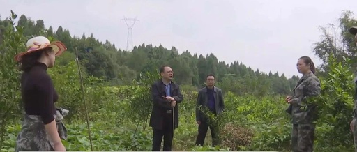 隆回县文体中心项目加速推进 社区居民积极配合征地拆迁工作