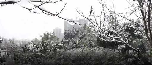 隆回小沙江迎来今年冬季第一场雪，你那下雪了吗?