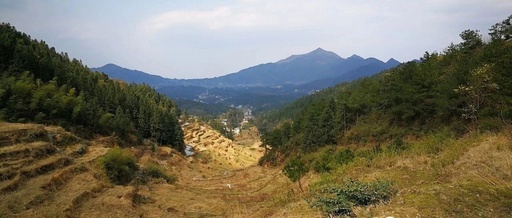 隆回网友反映自己的土地无法确权？官方回复了！