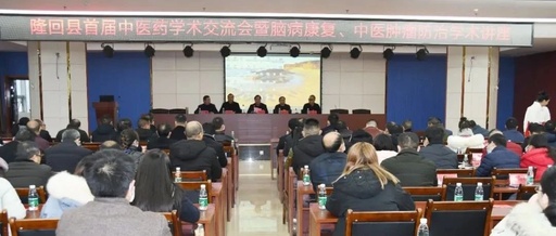 隆回县首届中医药学术交流会在县中医医院举行
