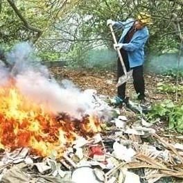 隆回19人烧落叶毛草、垃圾等违法条例被罚款并检讨