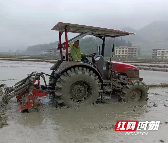 隆回： 盘活“沉睡地”种好饭碗田