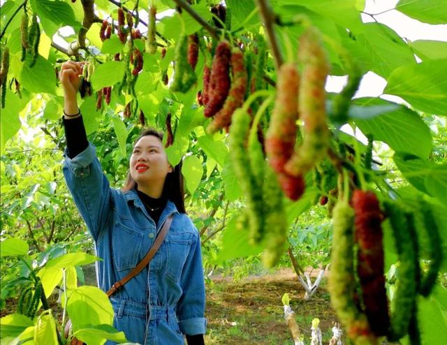 百业复兴：安岳生产生活重回正轨