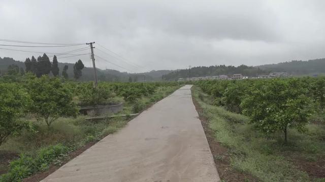 五一长假去哪儿玩（一）——思贤镇道台村，静享田园风光