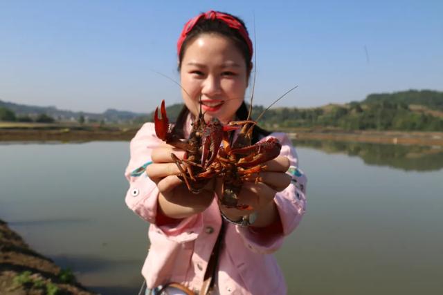 五一长假去哪儿玩（五）——元坝镇天王村，玩转小龙虾