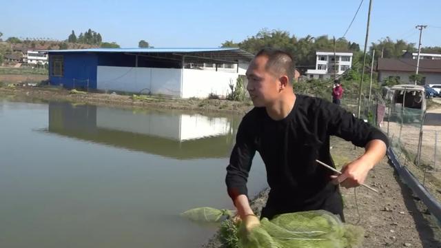 五一长假去哪儿玩（五）——元坝镇天王村，玩转小龙虾