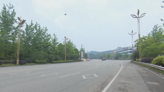 内遂高速安岳入口段“柚子市场”不见啦