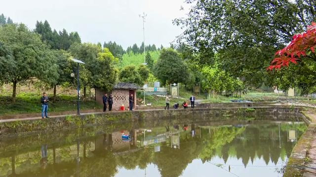 思贤镇道台村：坚持农旅结合，助力乡村振兴