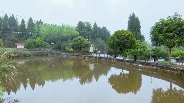 思贤镇道台村：坚持农旅结合，助力乡村振兴