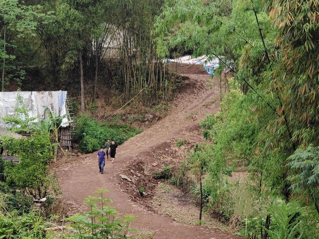 问政追踪：争取项目+村民自筹，力争早日硬化安岳这段道路