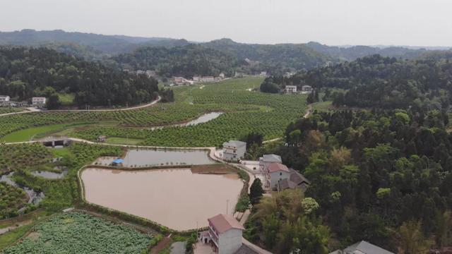 岳新乡：危房改造显成效，贫困群众住上安心房