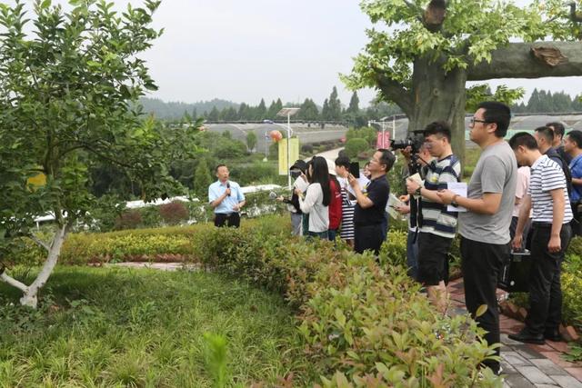 “走向我们的小康生活”大型主题采访走进安岳县，记录致富奔康故事