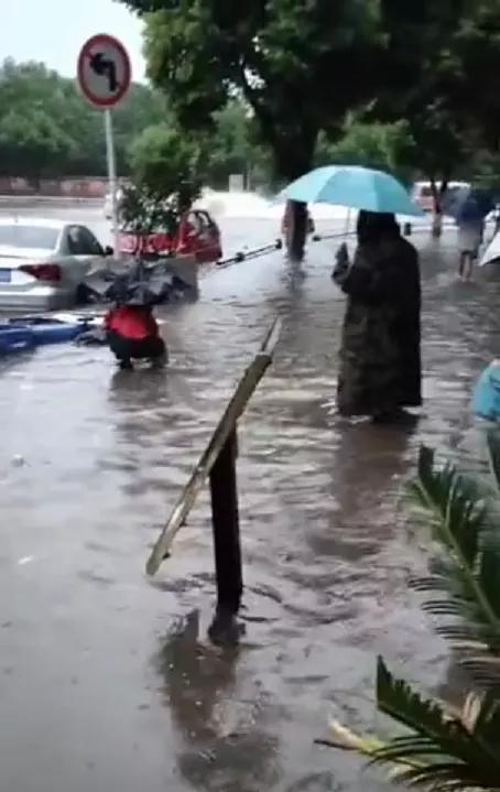 一夜惊雷！暴雨后，安岳开启看“海”模式，幸好有他们