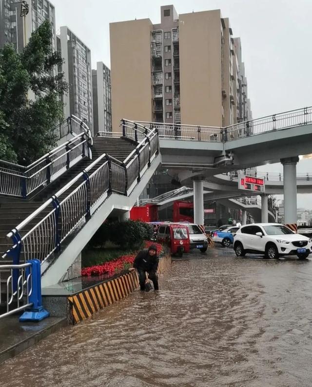 一夜惊雷！暴雨后，安岳开启看“海”模式，幸好有他们