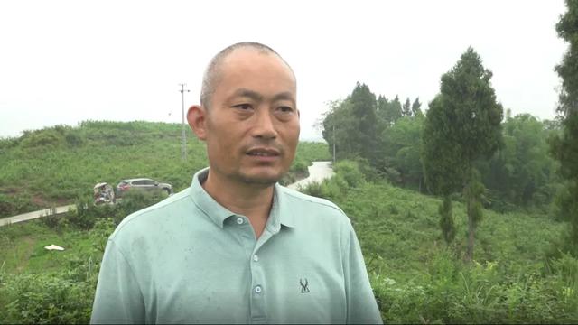 天林镇刘正友：漫山遍野花椒熏，返乡创业馈乡亲