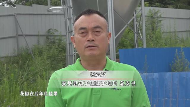 “龙头企业+”模式，安岳走出一条产业扶贫道路