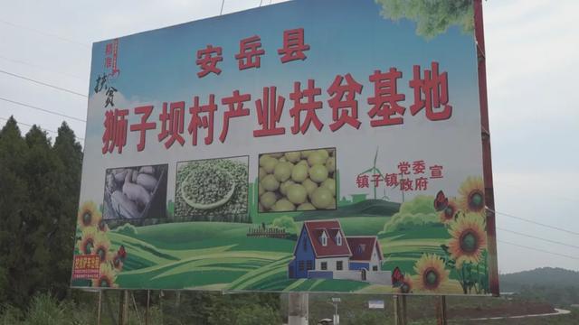 “龙头企业+”模式，安岳走出一条产业扶贫道路