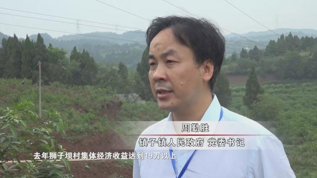 “龙头企业+”模式，安岳走出一条产业扶贫道路