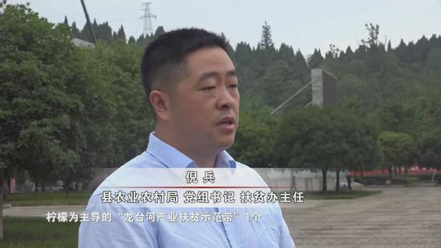 “龙头企业+”模式，安岳走出一条产业扶贫道路