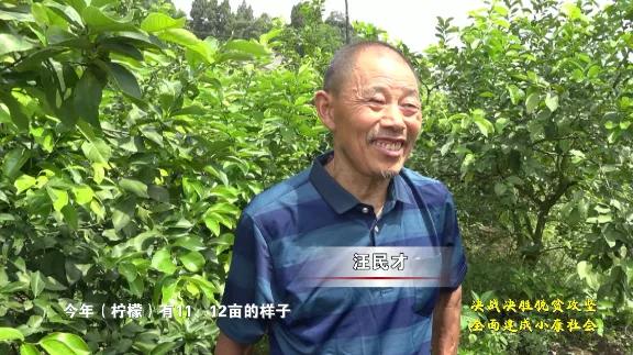 驯龙镇黄河村：产业助力脱贫攻坚见成效