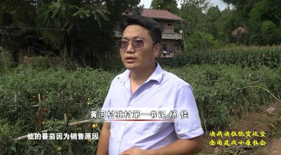 驯龙镇黄河村：产业助力脱贫攻坚见成效