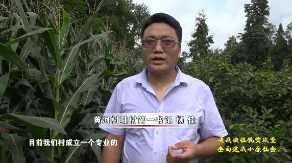 驯龙镇黄河村：产业助力脱贫攻坚见成效