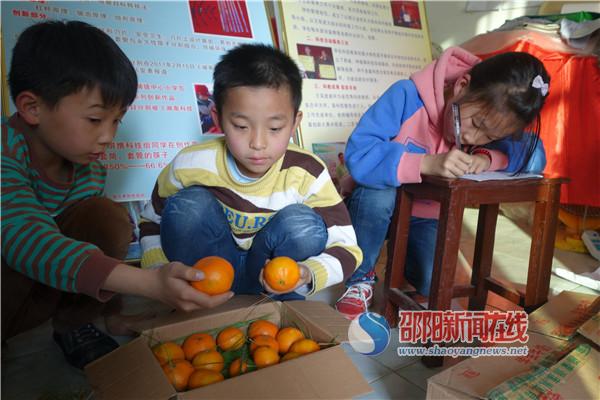 隆回县雨山中小学科技组：劳技创新教育活动常态化