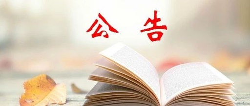 洞口：关于调整部分公开招聘中小学、幼儿园、职业学校教师岗位开考比例和调整部分招聘计划的公告