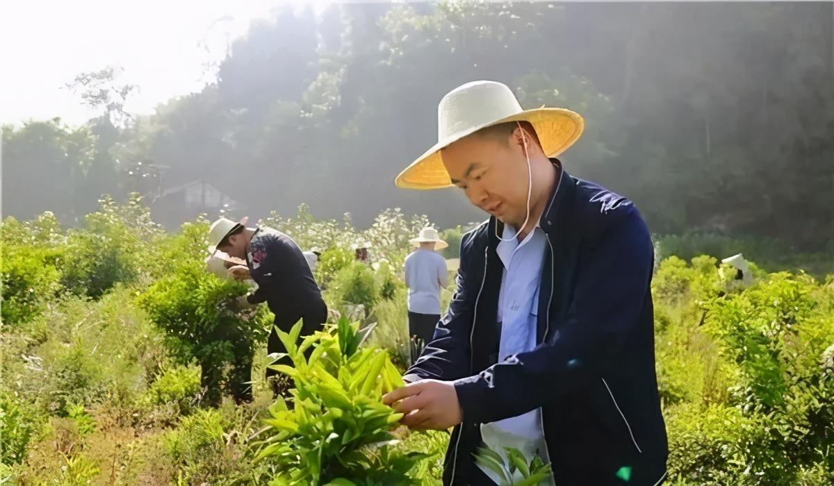 不让一个人掉队！安岳县税务局扛起脱贫攻坚的“硬核”担当