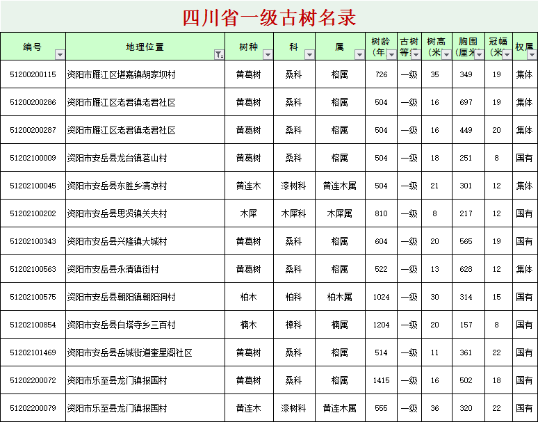 全省古树名木名单出炉，安岳有1000余株古树，你都见过哪些？