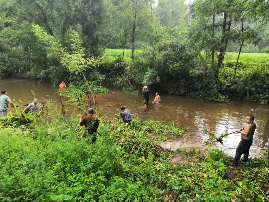 安岳河道治理成效如何？一组对比照带你看岳阳河等河道的变化